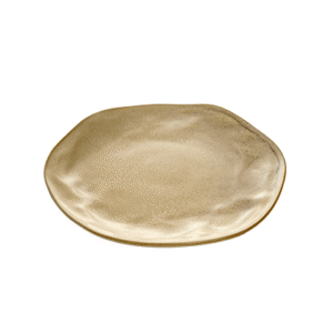 Earth Show Plate 33CM - CR2200